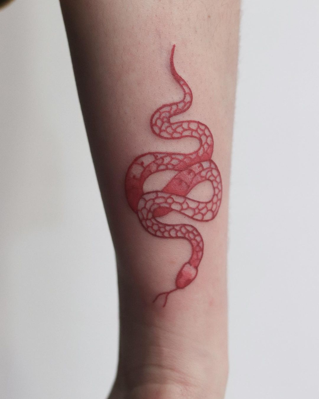 Red inked snake tattoos by glum.tattooer