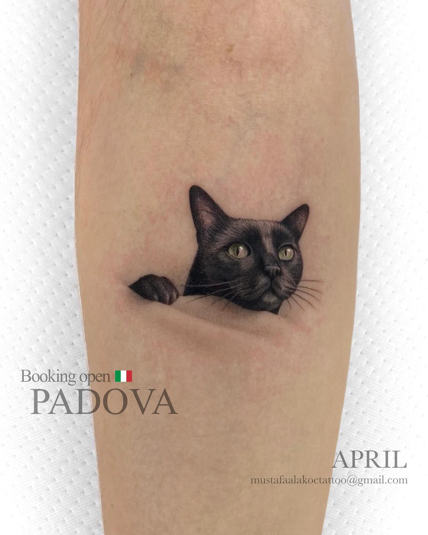 Cat tattoo design for men by mustafaalakoc