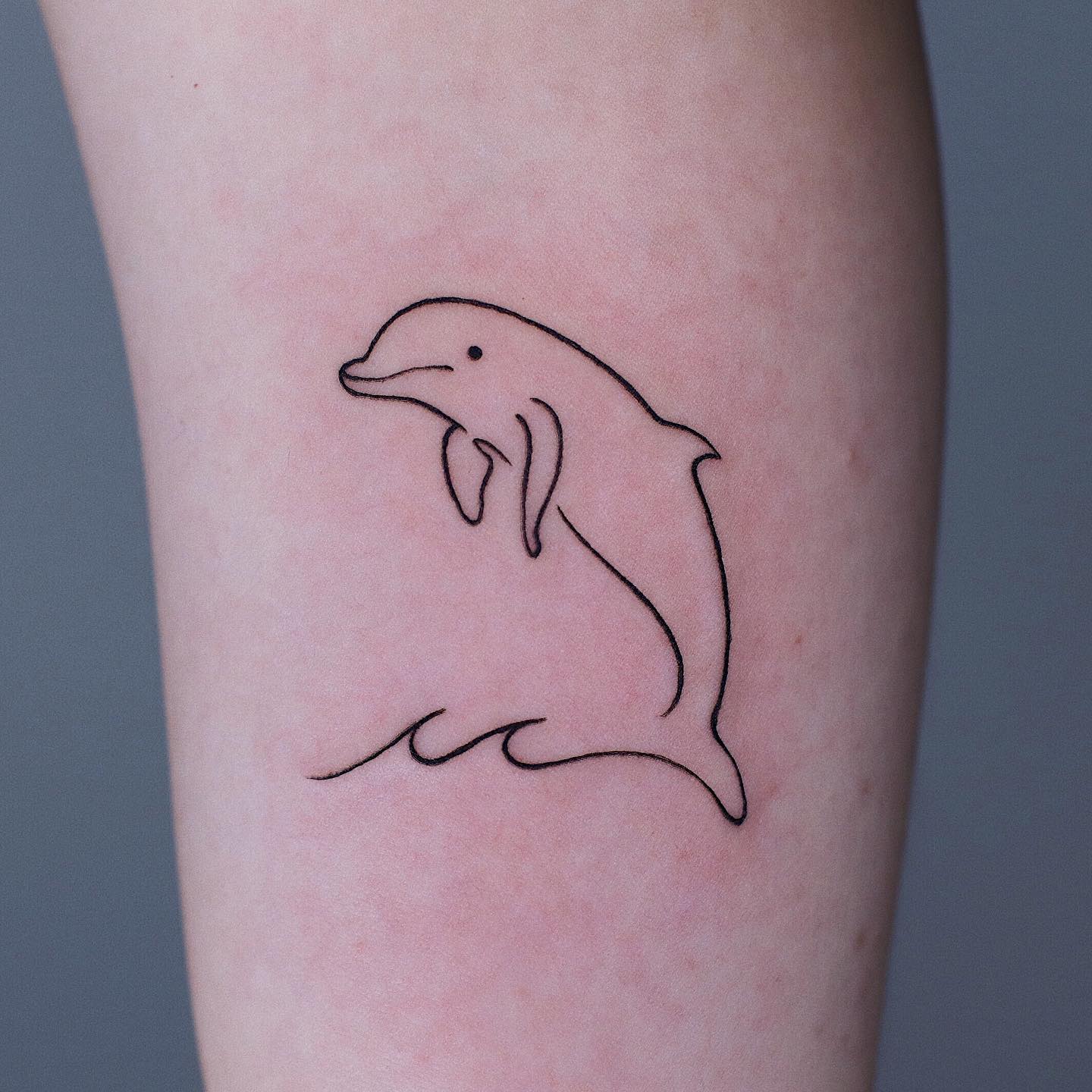 Fineline dolphin tattoo by howdy tattoo
