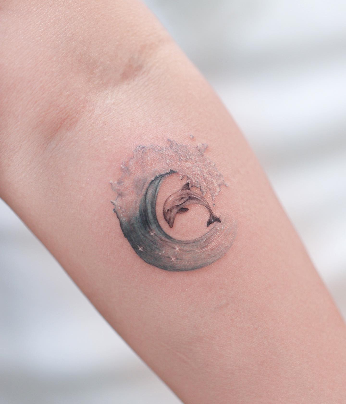 REalistic dolphin tattoos by tattoo.haneul