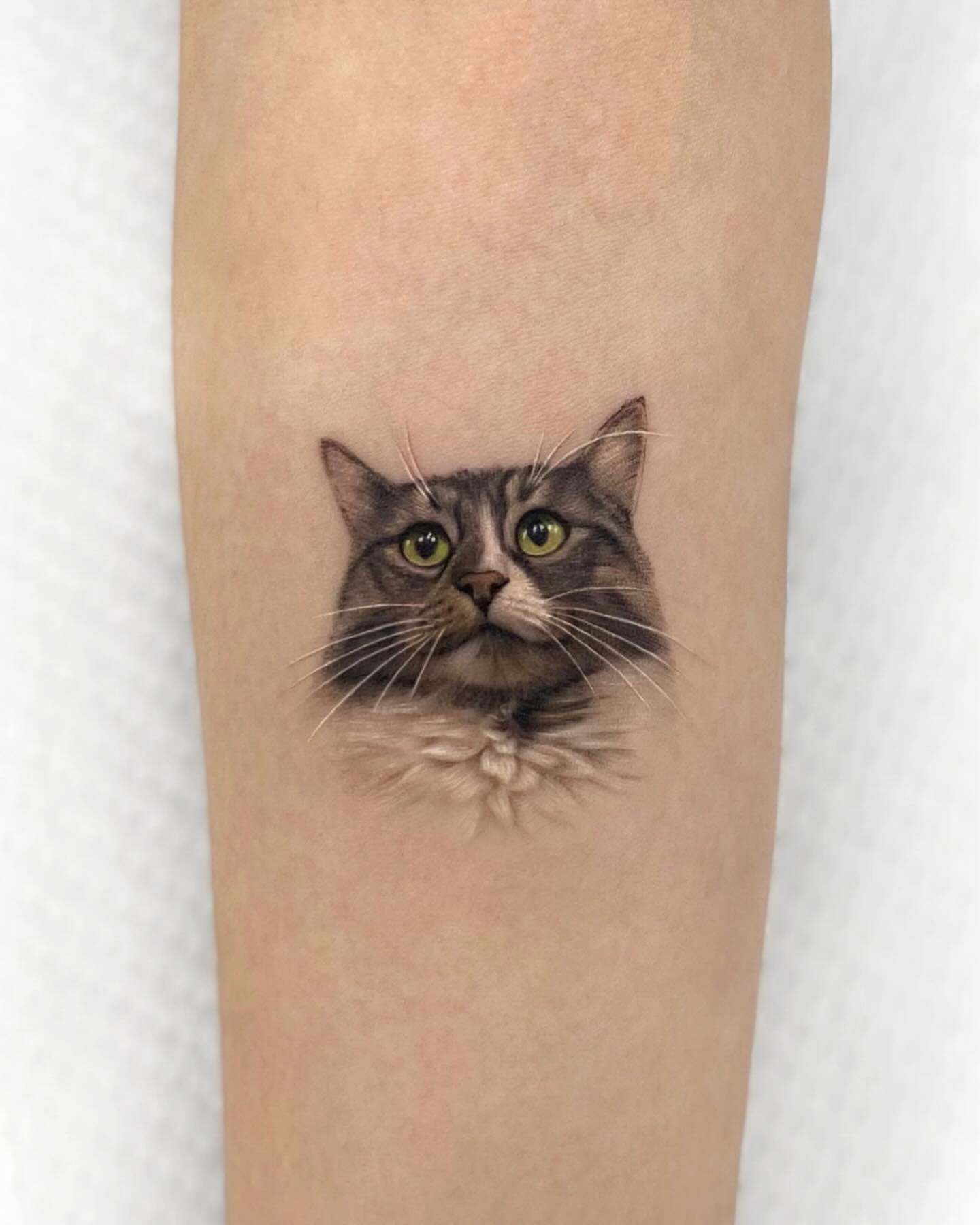 Realistic cat tattoo by mustafaalakoc