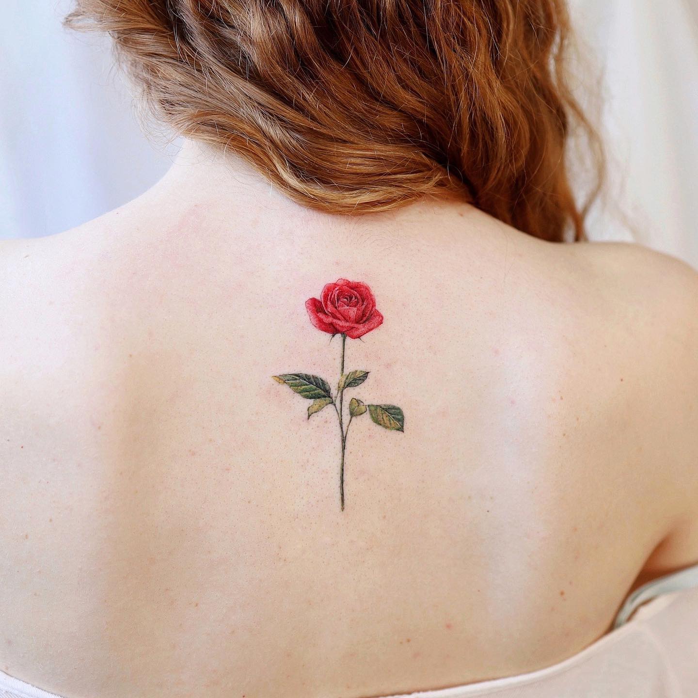 Red rose tattoo by vane.tattoo