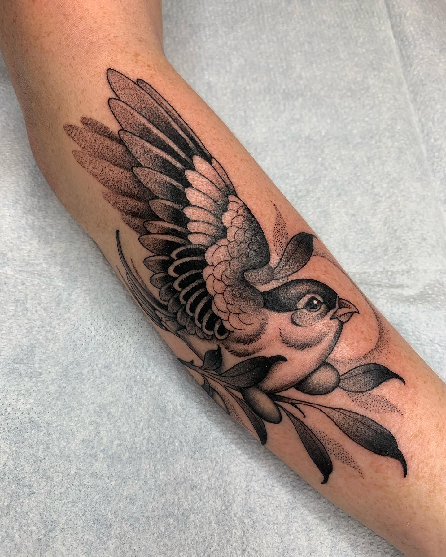 bird tattoo designs by mollyissketchy