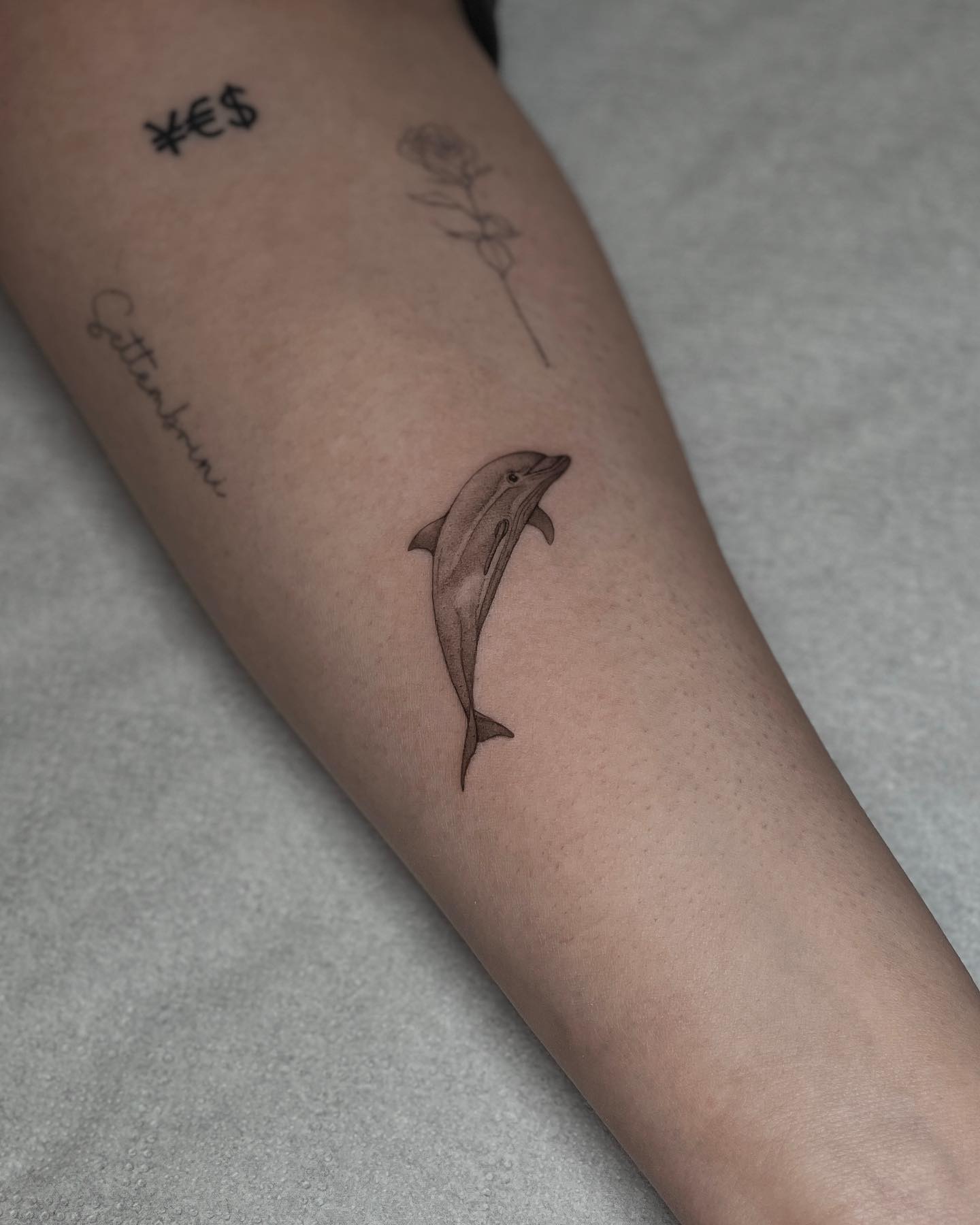 black inked dolphin design by dawidroszak tattoo