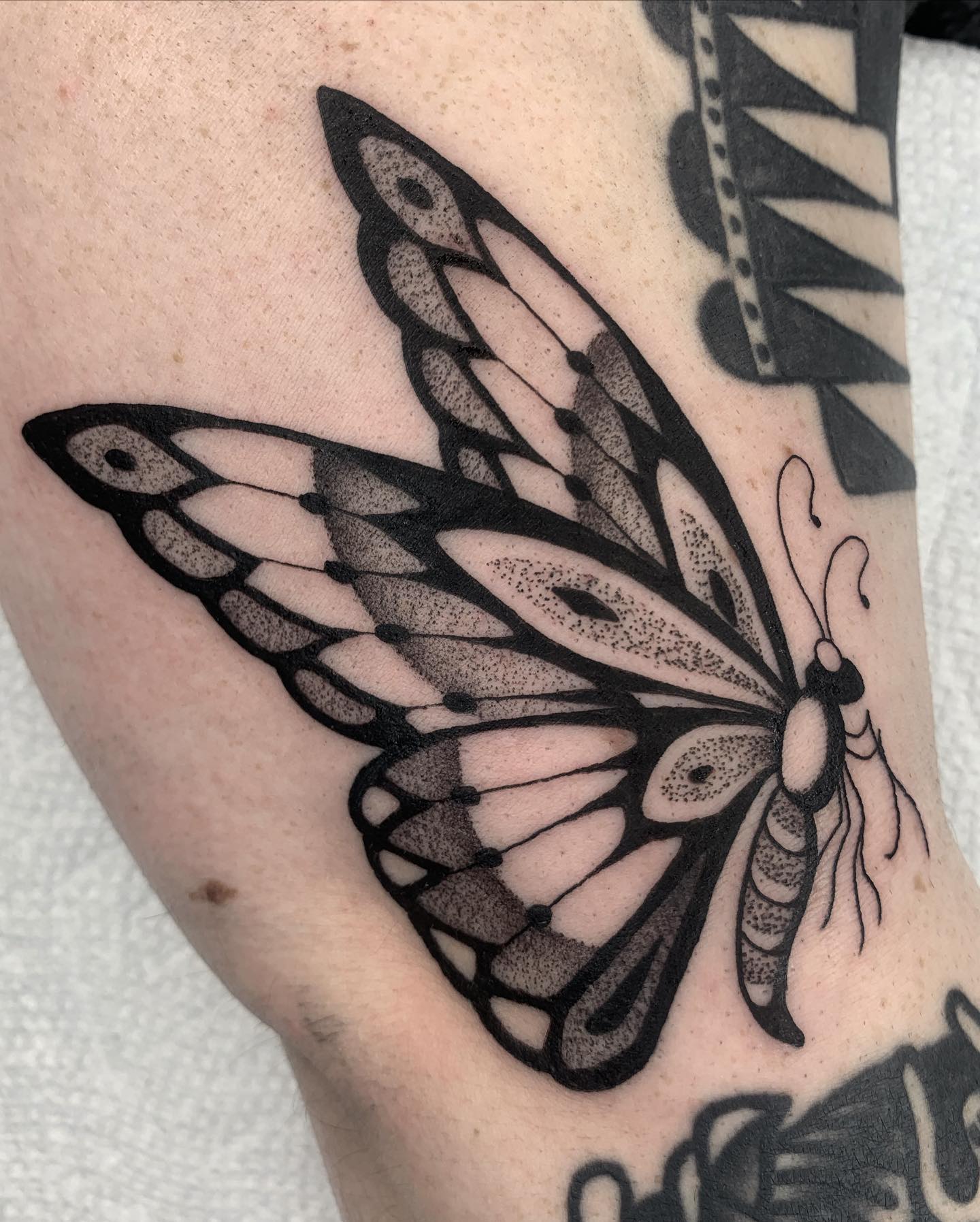 butterfly neo traditional tattoos by mollyissketchy