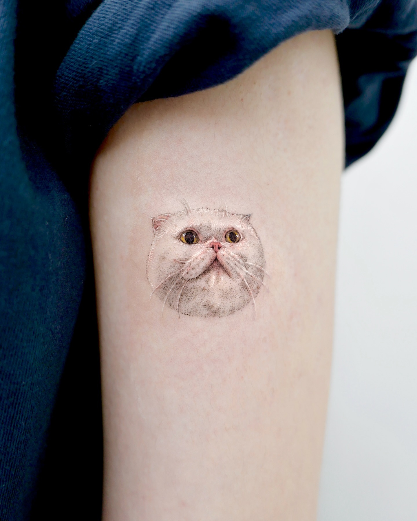 cute portrait of cat by tattooist.ina .origin
