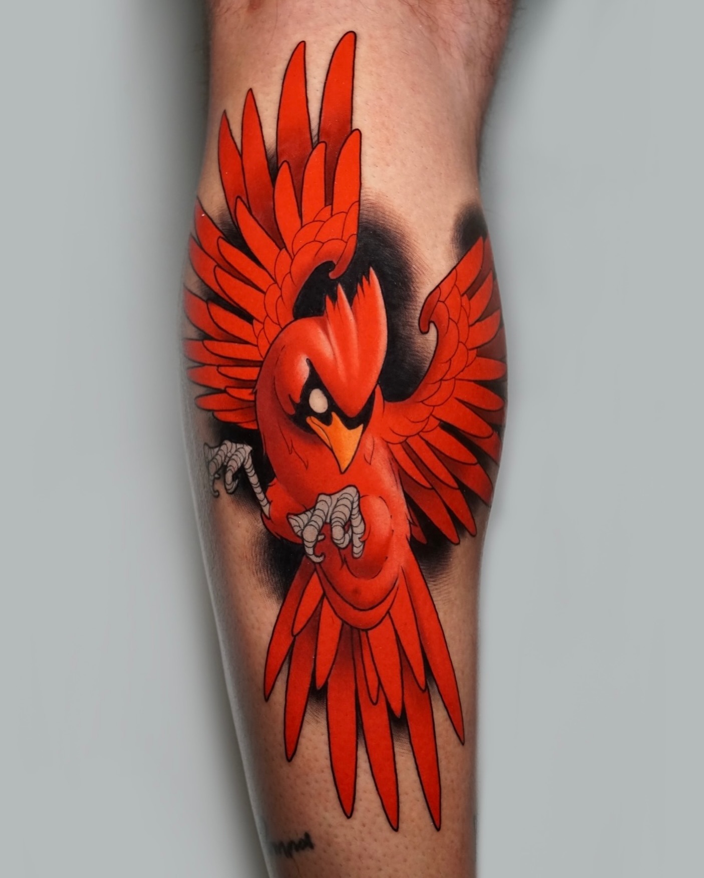 neo traditional bird tattoo by doom tattoo