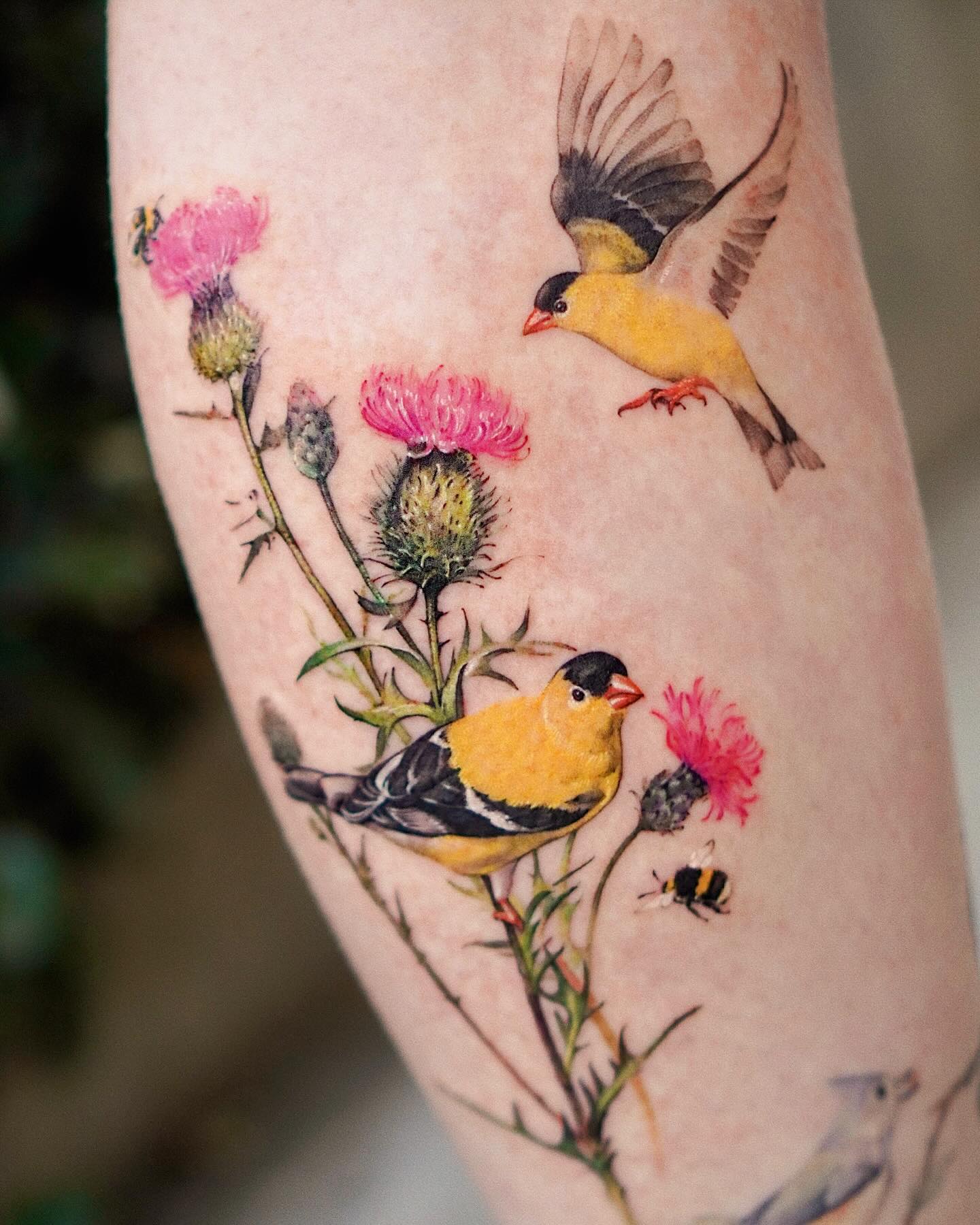watercolor bird design by abii tattoo