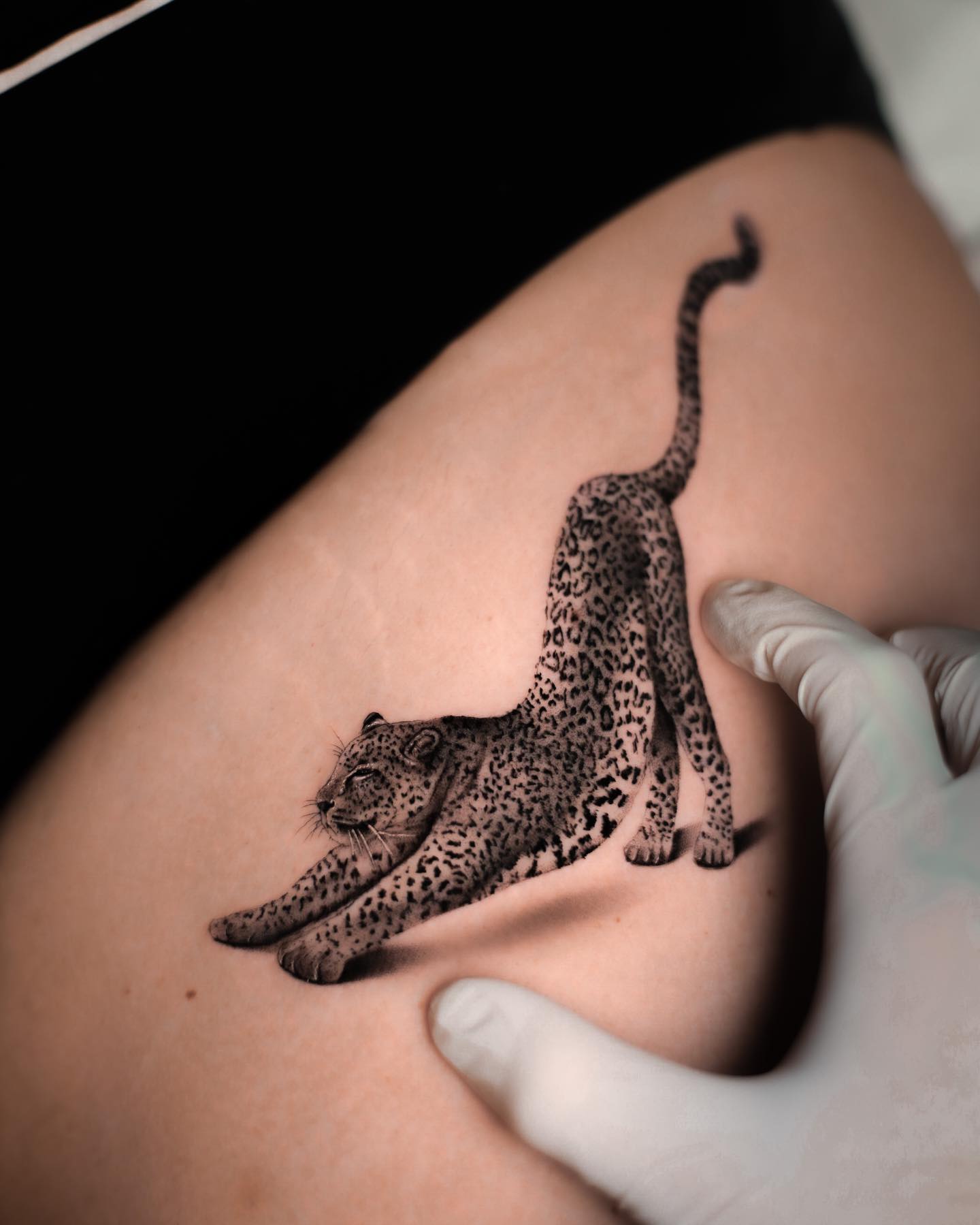 Realistic leopard tattoos by romainolivares tattoo