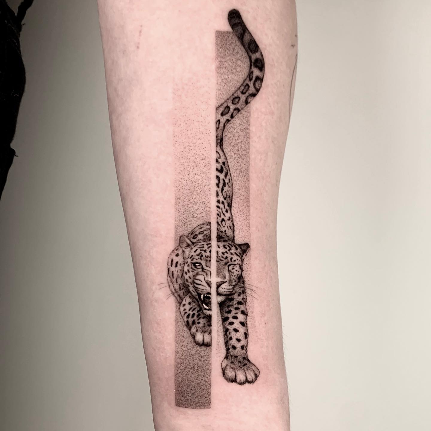 leopard tattoo ideas by ikarus.abendwind
