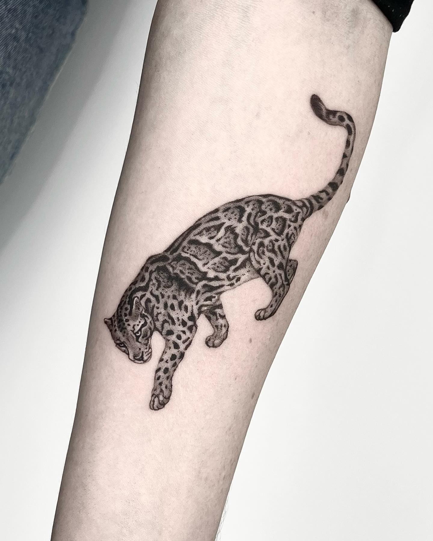 leopard tattoos by the antidote ink
