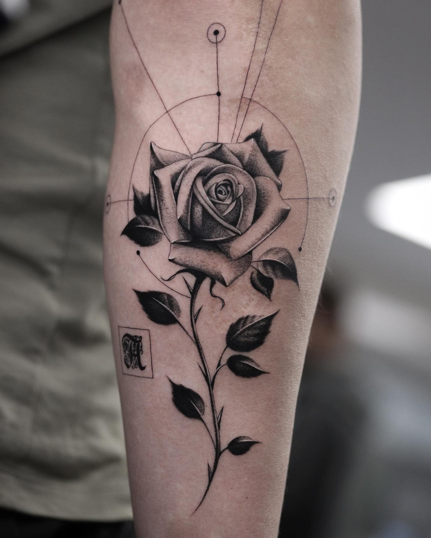 Amazing rose design by andreas.givskov