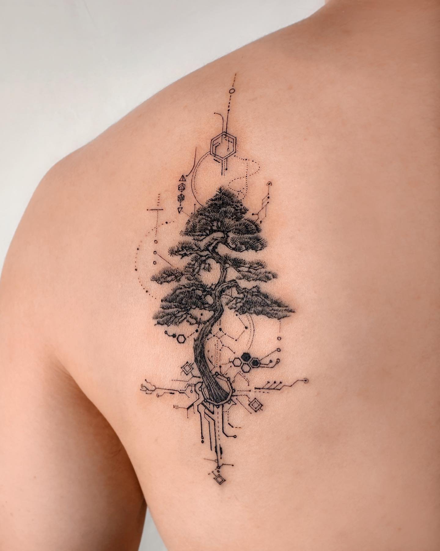 Amazing tree tattoos by hansanstudio