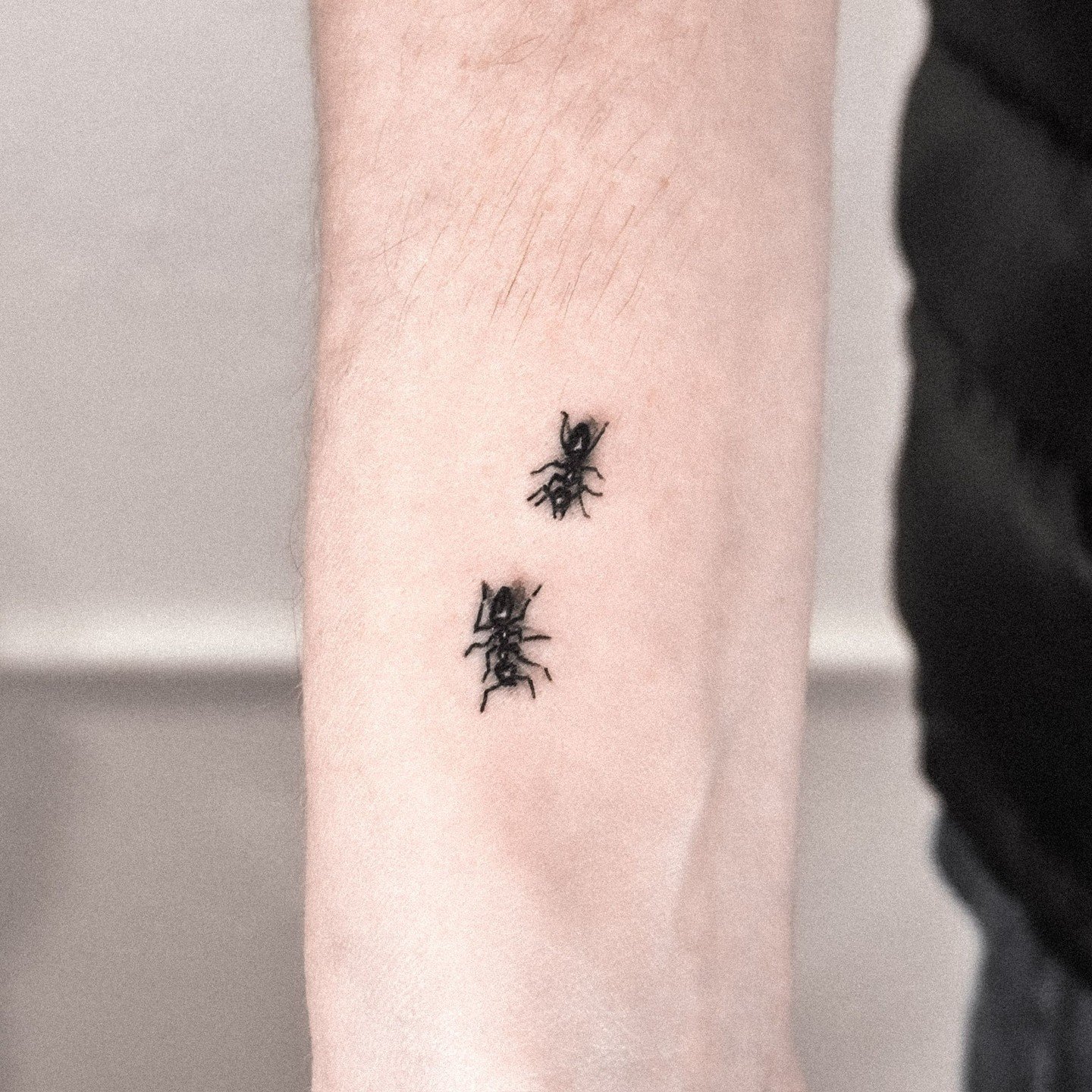 Ant tattoo design on the forearm by shifublue