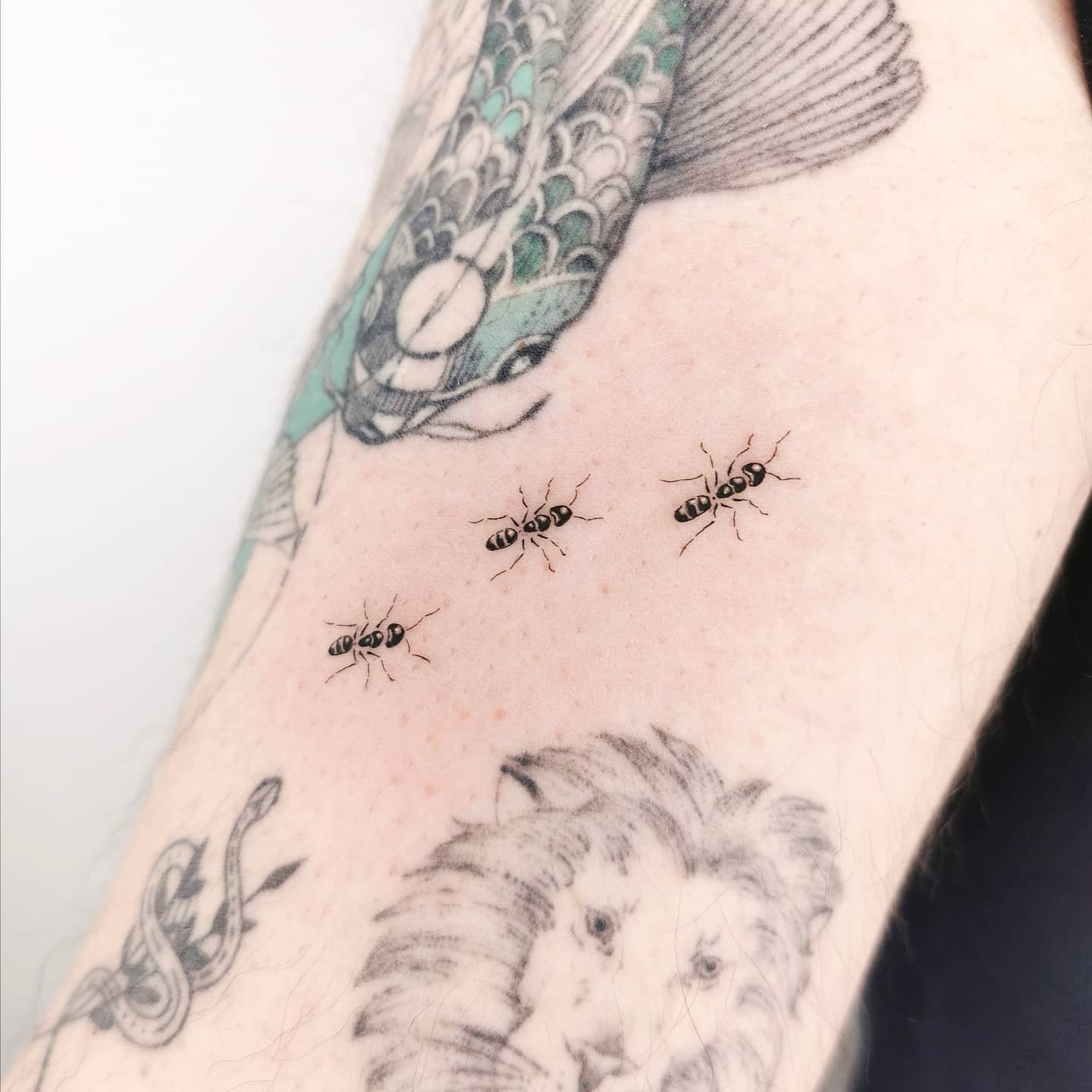 Cute ant tattoo by peter sparkler tattoo