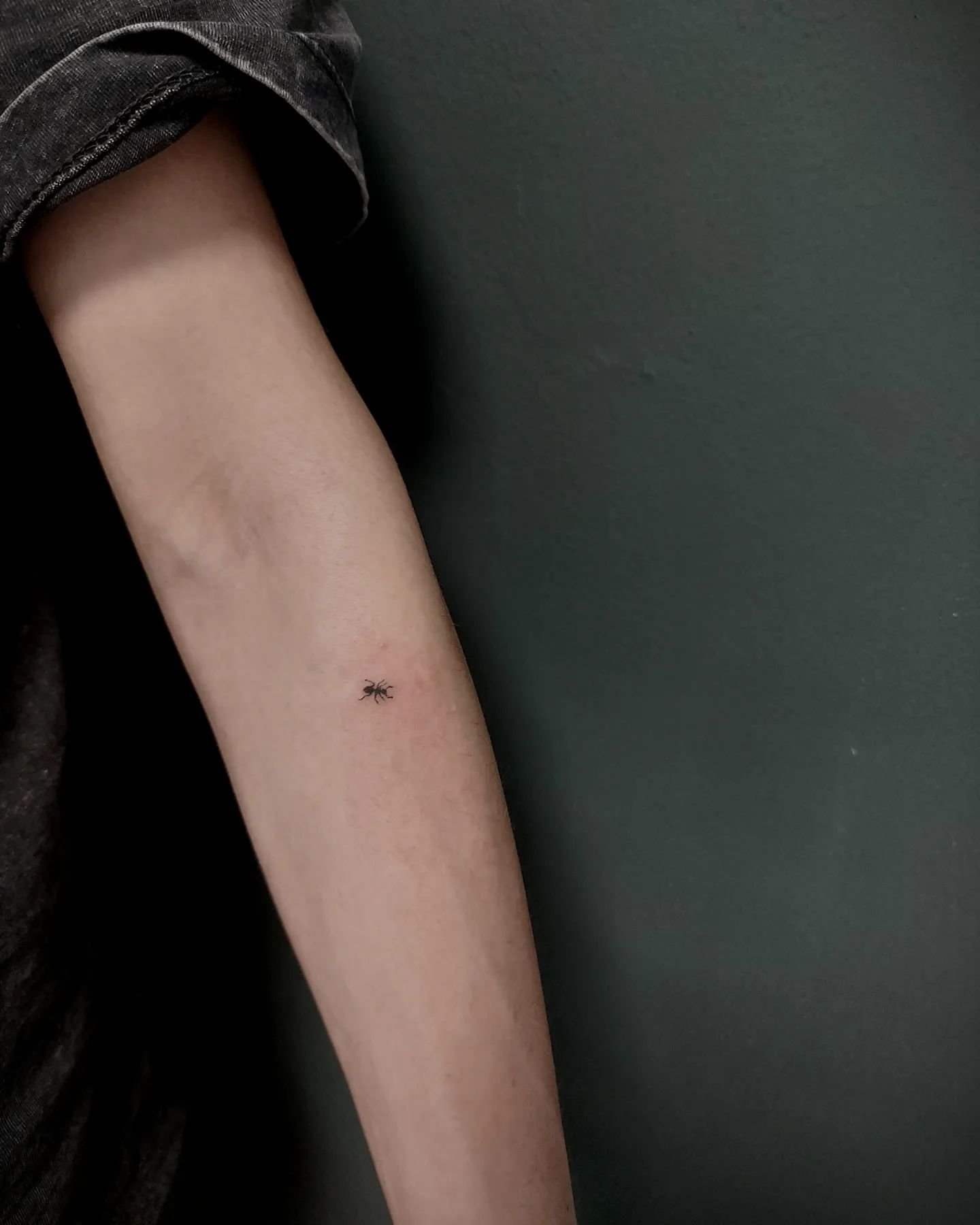 Minimalistic ant tattoos by derelict.tm .tattoo