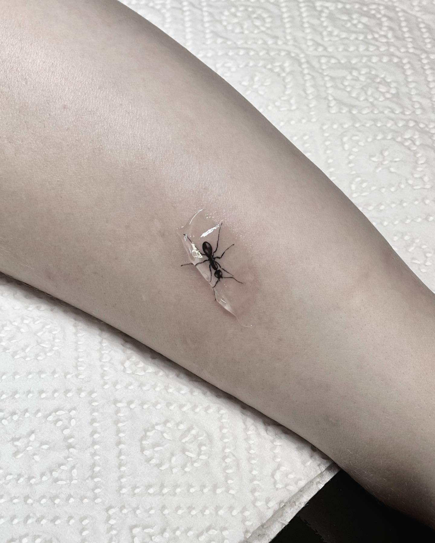 Realistic ant design ideas by sliwka.tattoo