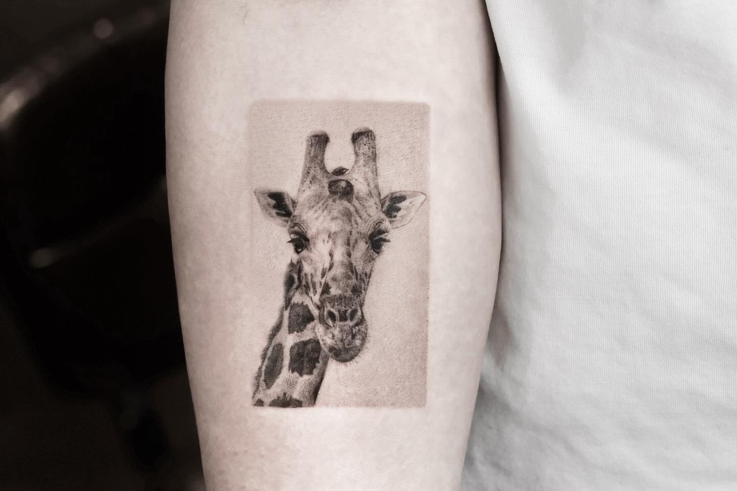 Realistic giraffe tattoos by e.bin ink