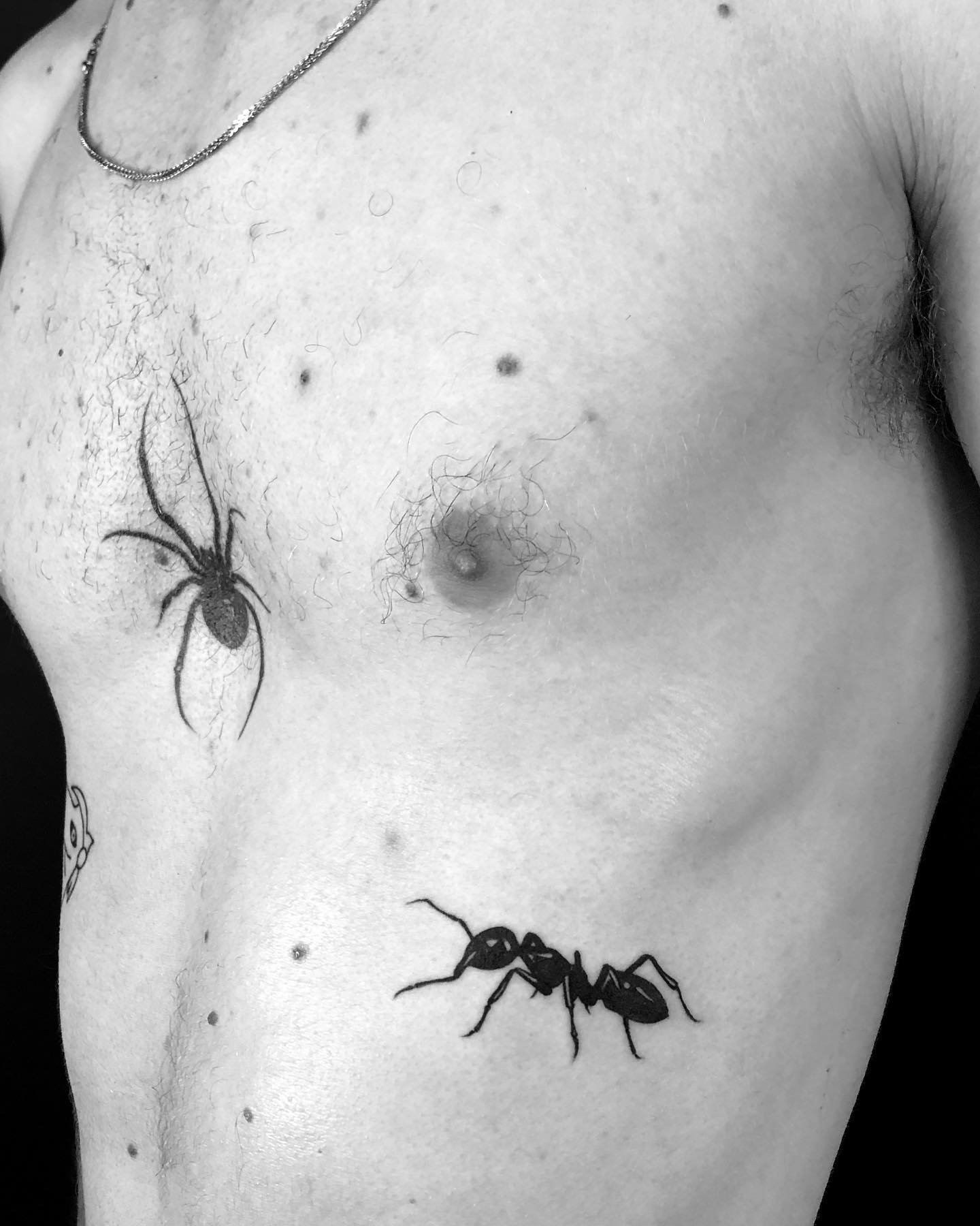 ant tattoo design by royveksler