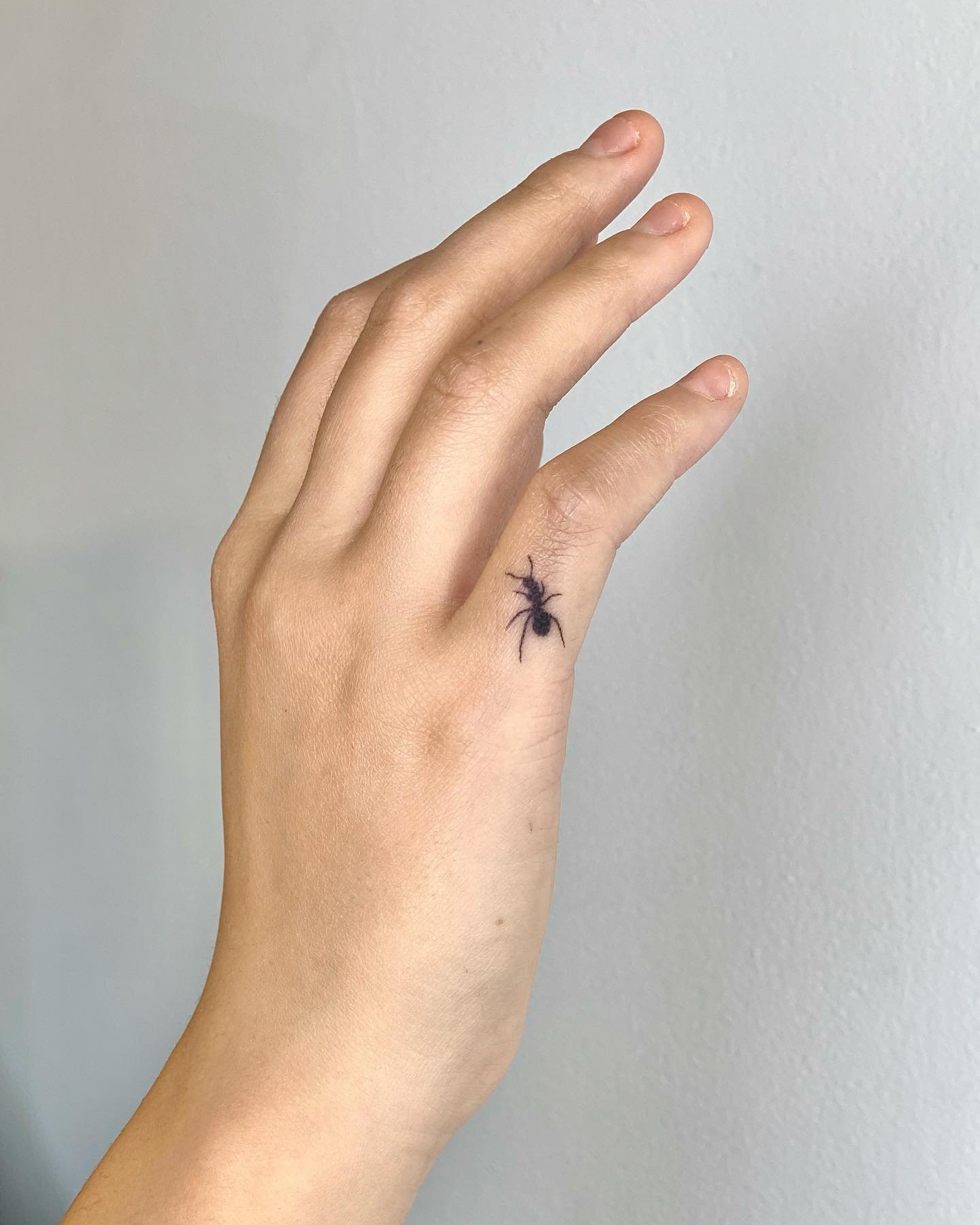 realistic ant tattoos by evelyn.tatts