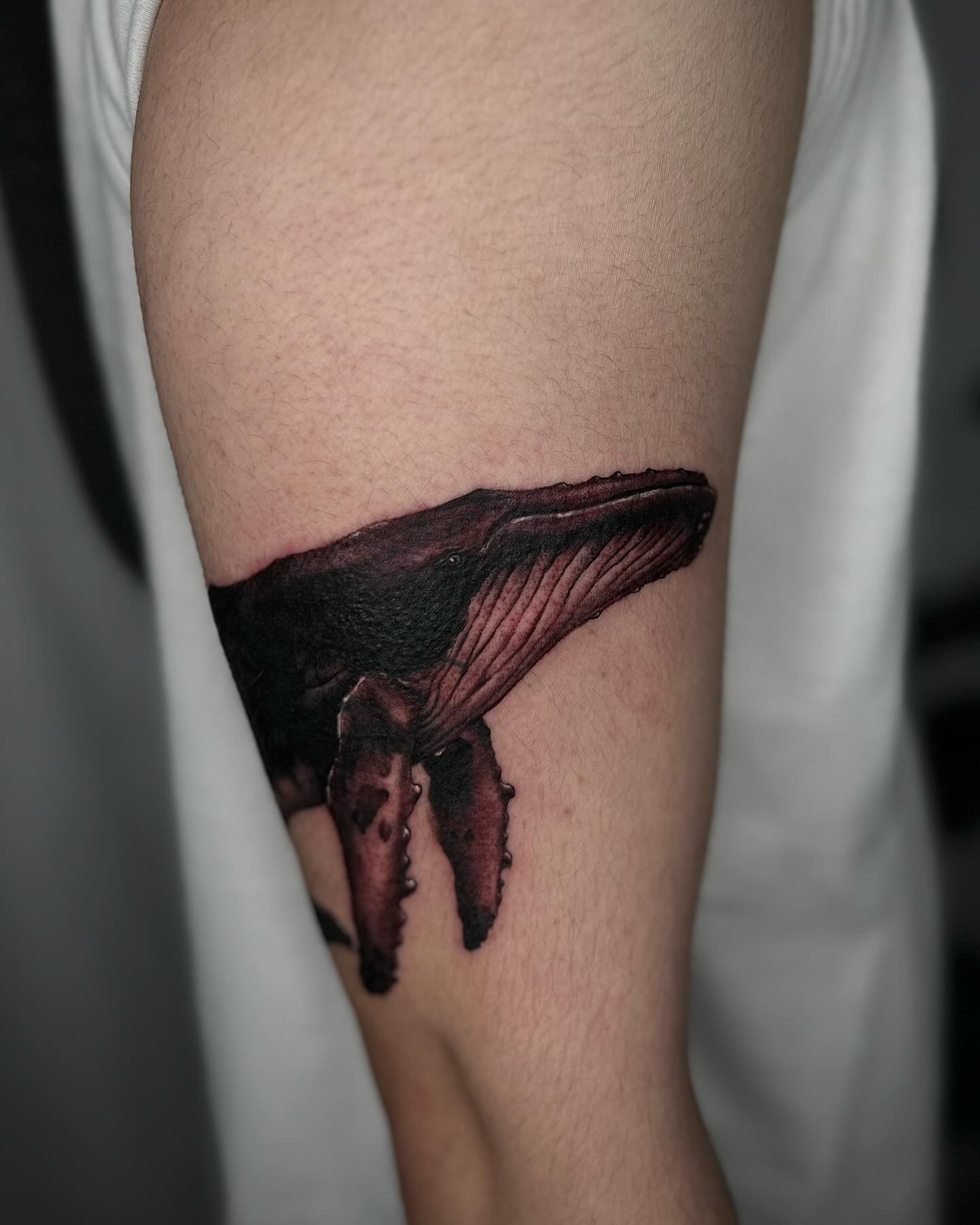 Black and white whale tattoo design by cyma tattooer