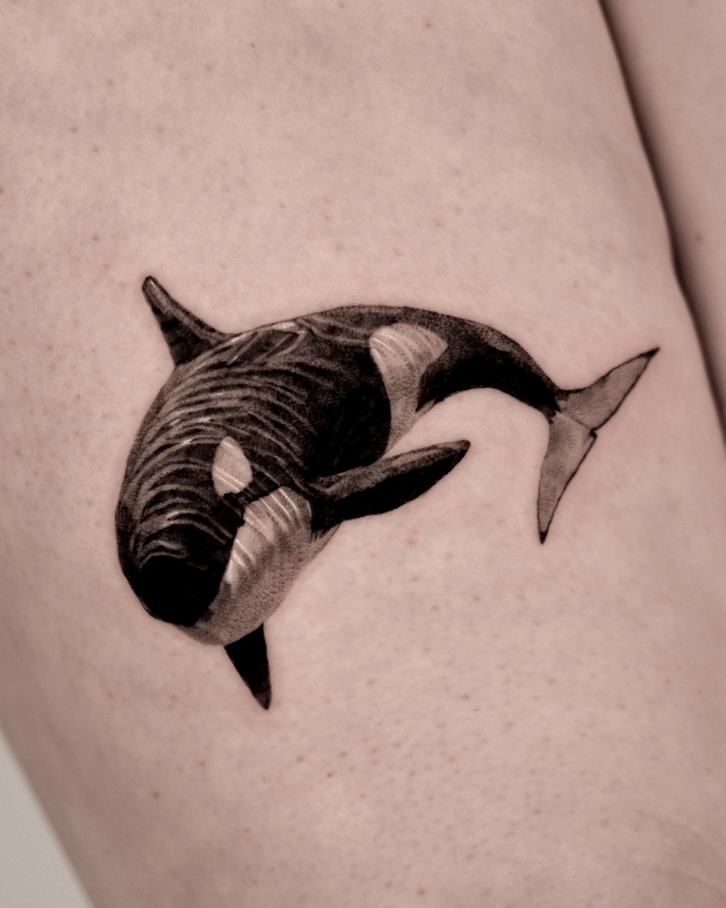 Cute whale tattoos by tattooist340