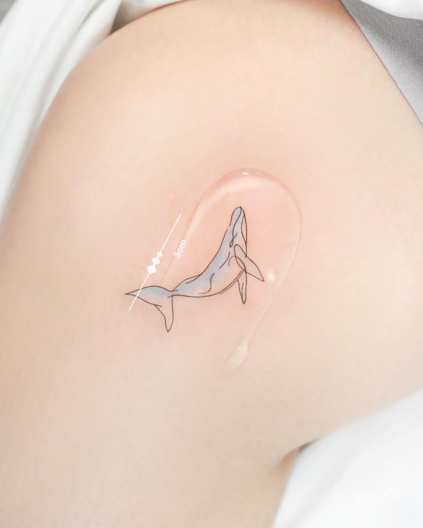 Fineline whale tattoos by tattooist today do