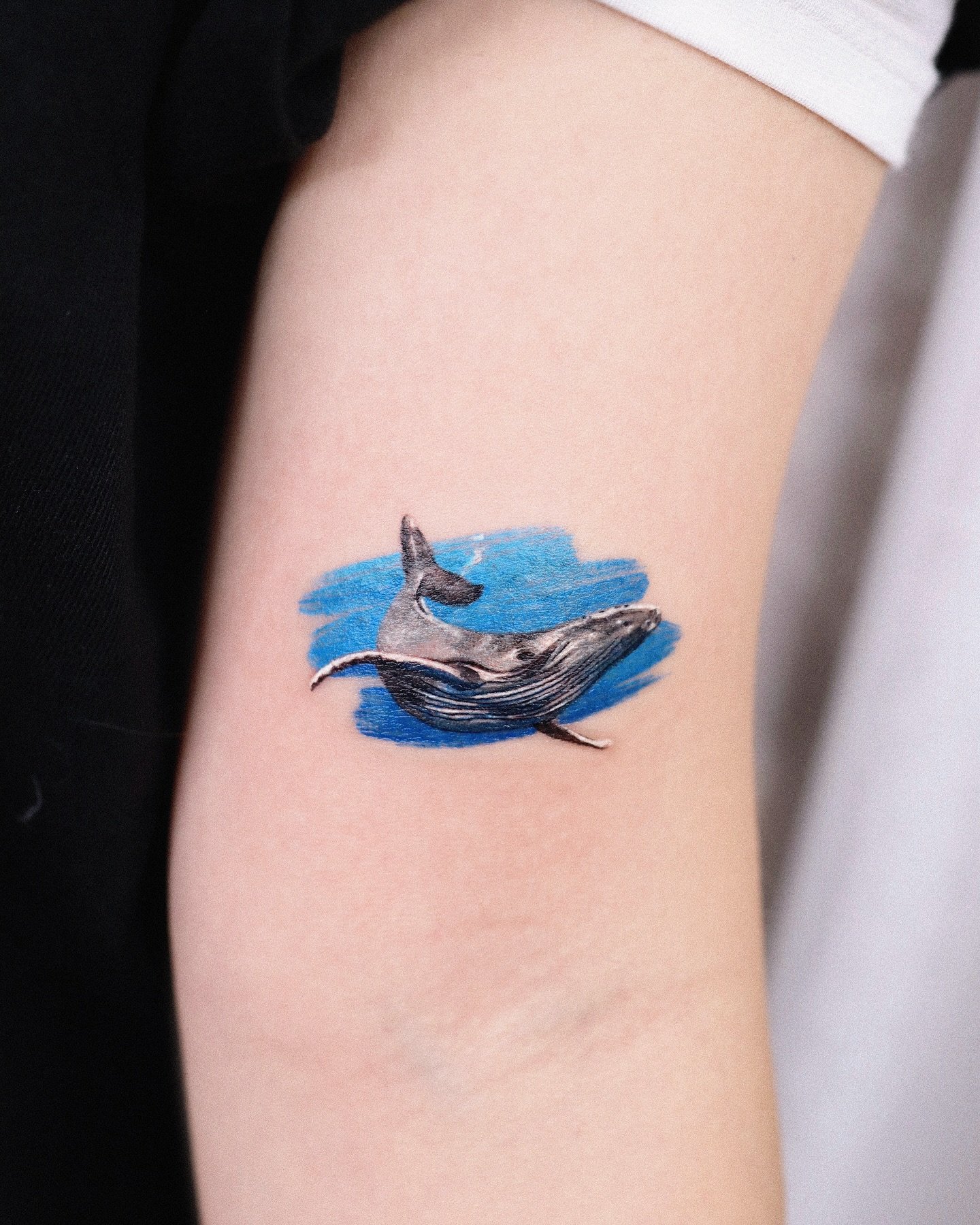 Minimalistic whale tattoos by tattooist mul