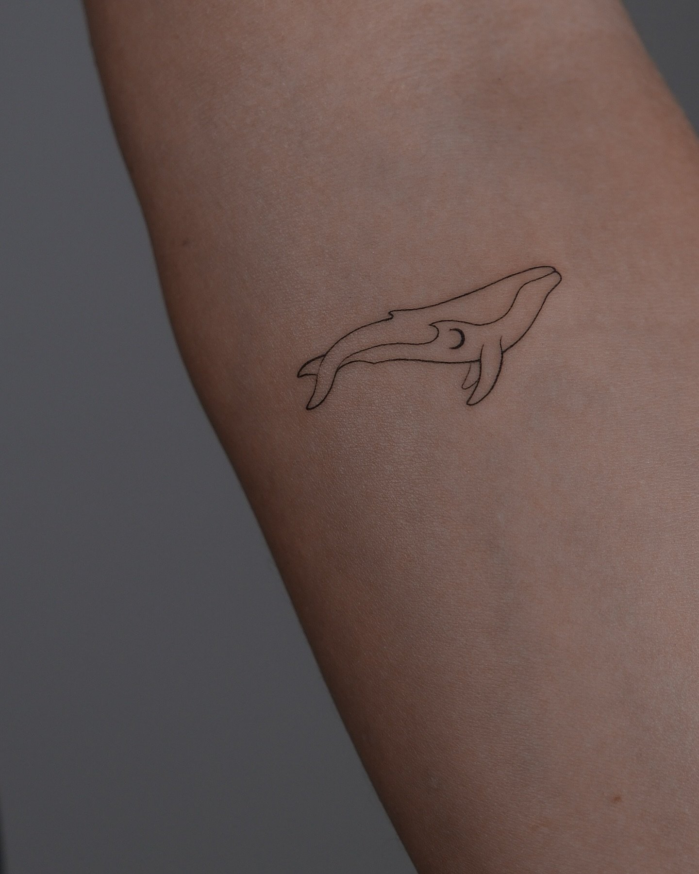 fineline whale design ideas by winczi.tattoo